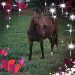 Meet your Posher, Marlene